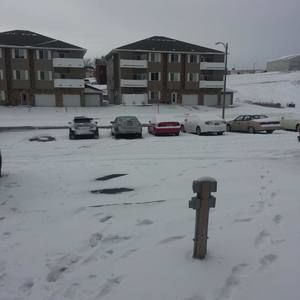 Meet your Posher, Steve